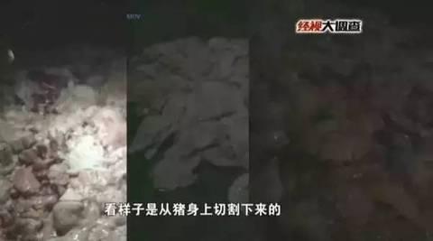 “饲料油”加工厂变卖“淋巴肉” 惊人内幕大揭秘